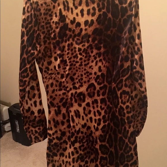 Leopard mini - Picture 6 of 6